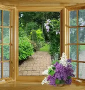 阿德勒个体心理学ppt