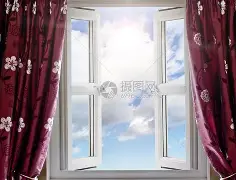 阿德勒个体心理学ppt 阿德勒个体心理学ppt